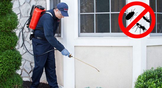 Göztepe Gümüşkurt İlaçlama böcek ilaçlama ve haşere kontrolü — ilaclama-tr.com